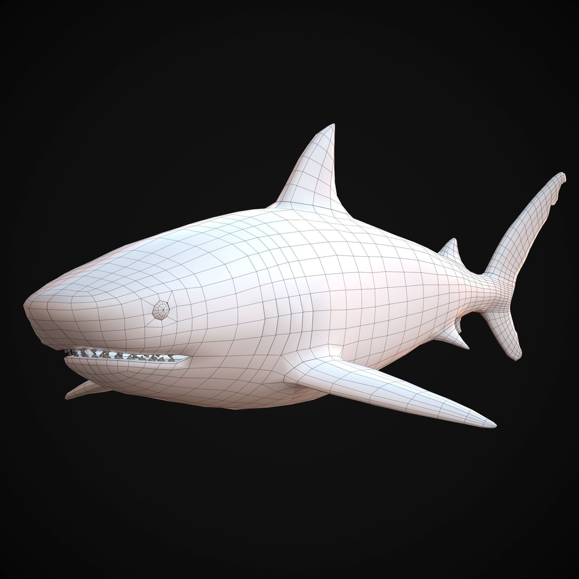 Sharks - 4 Pack Low-poly 3D model_8