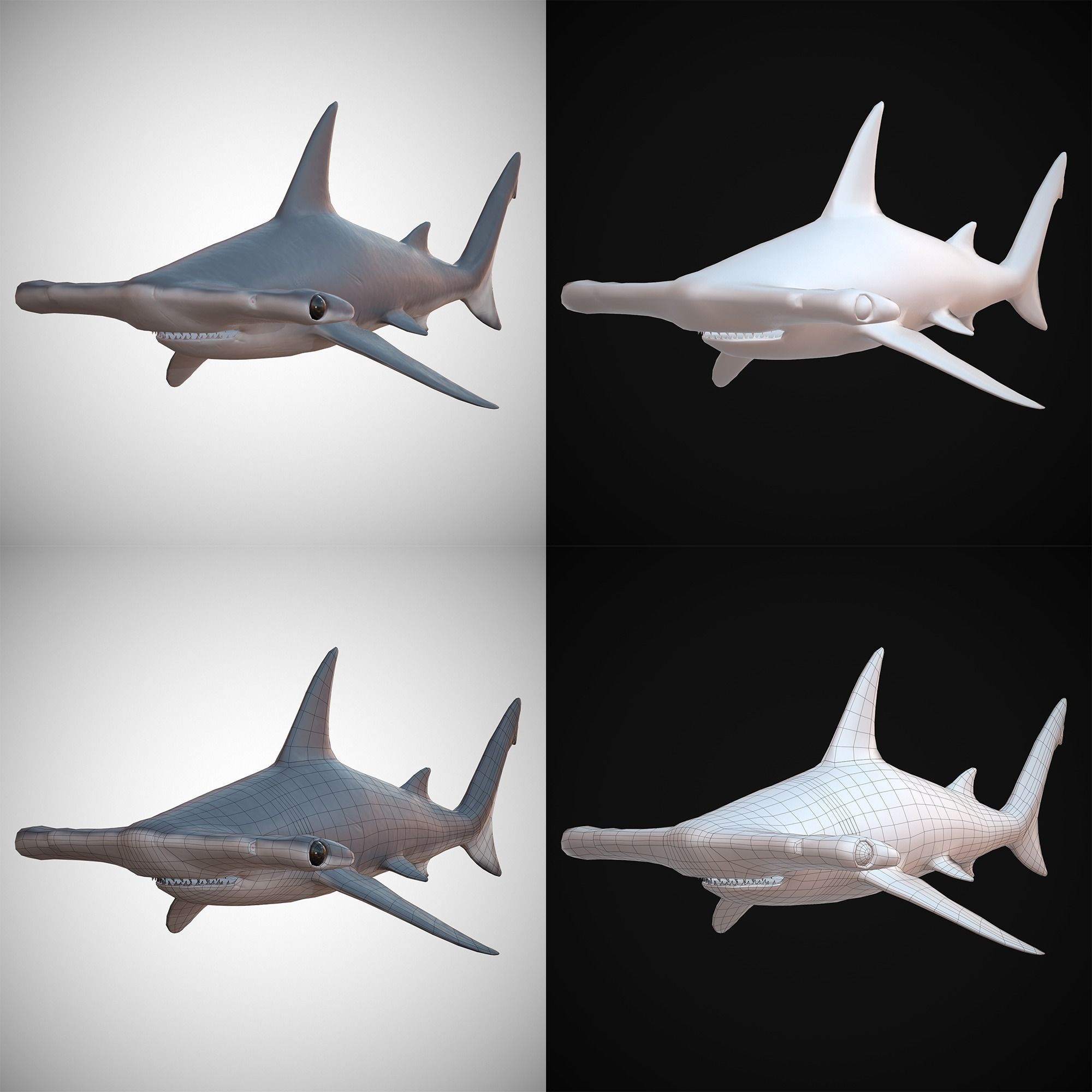 Sharks - 4 Pack Low-poly 3D model_6