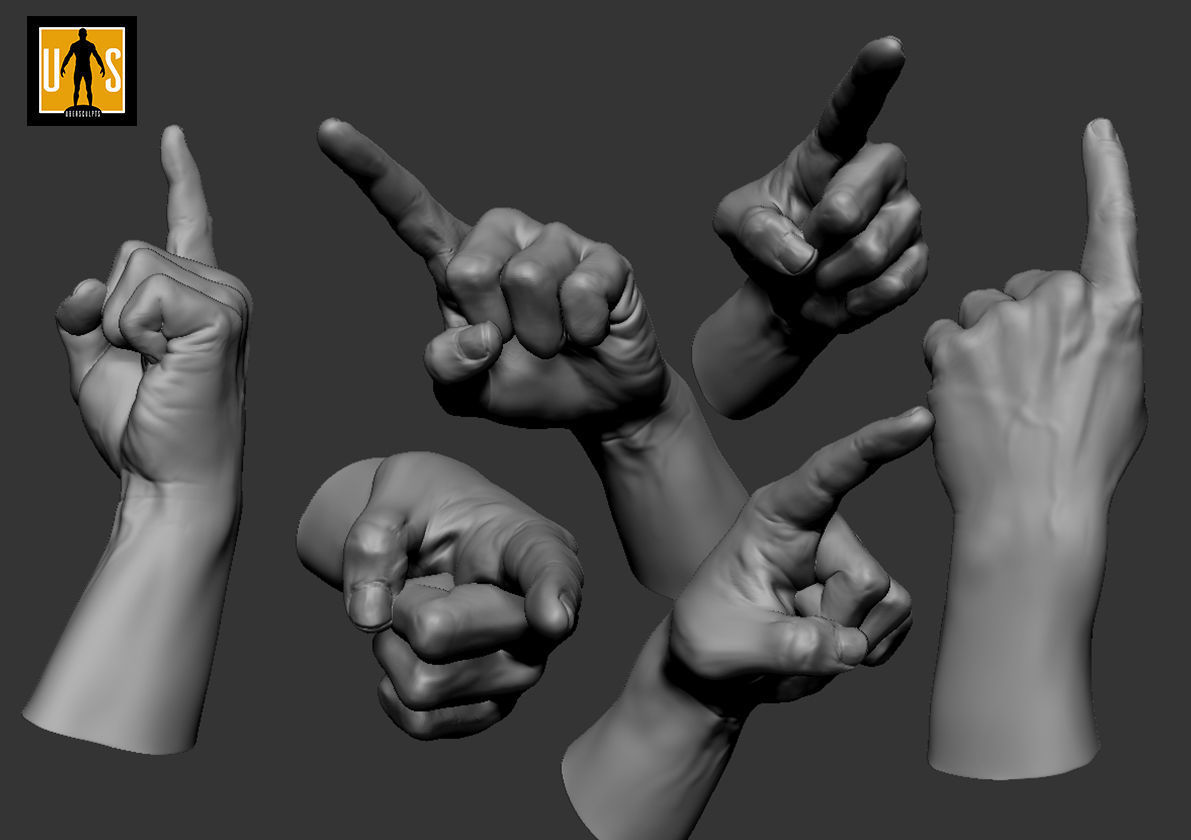hand in 4 poses  3D model_3
