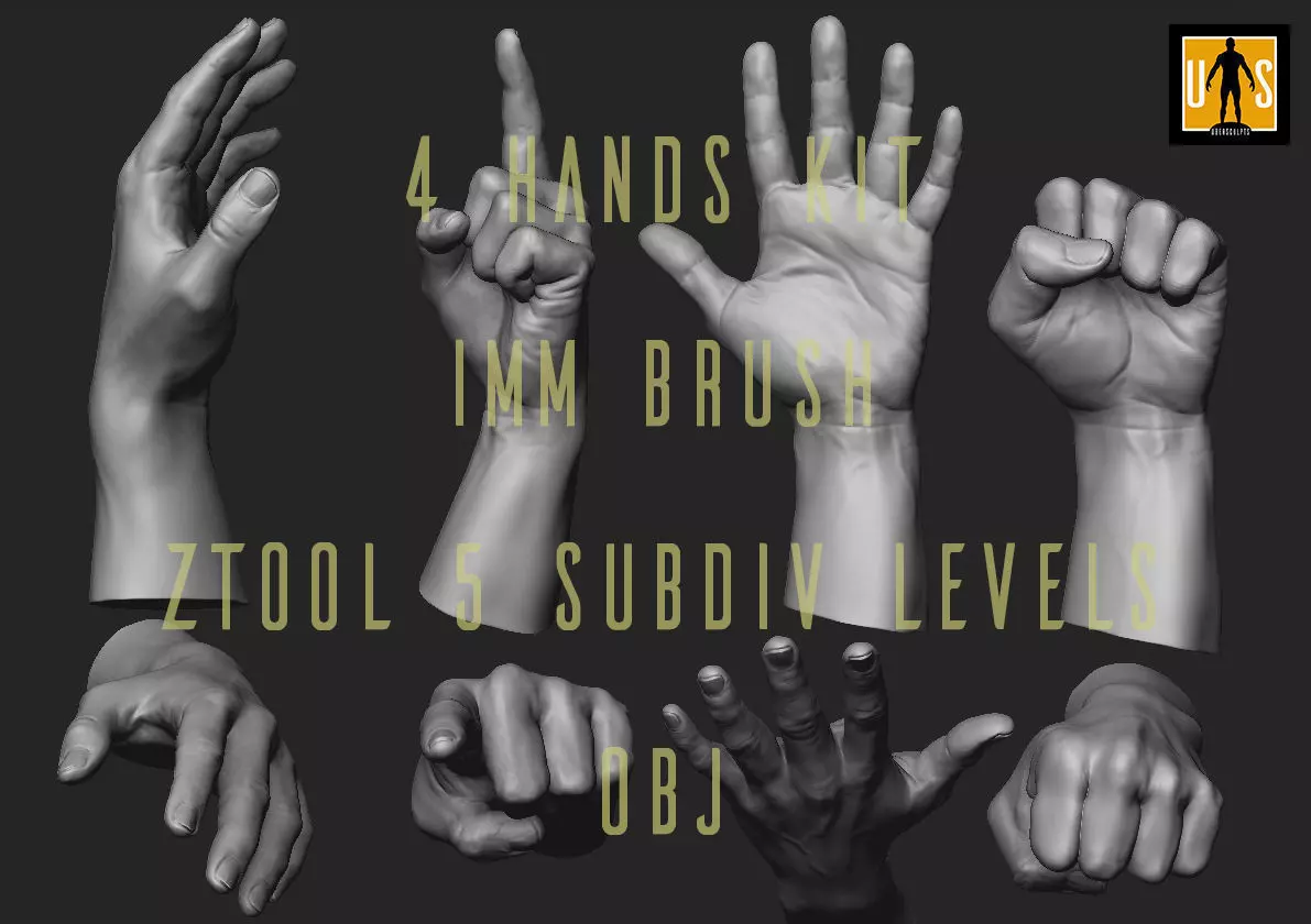 hand in 4 poses  3D model_0