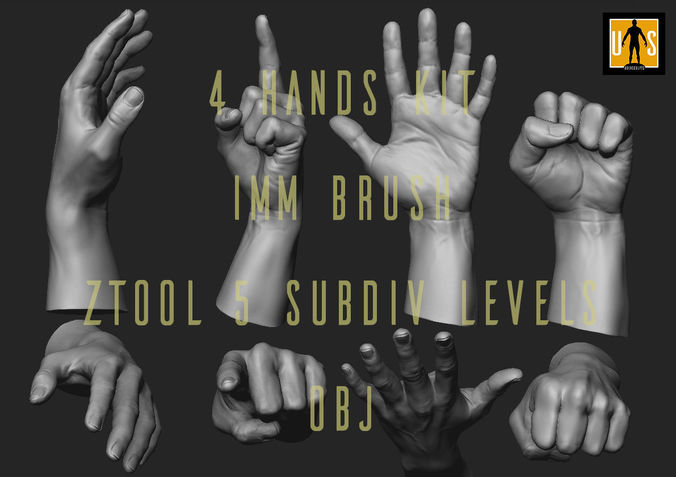 hand in 4 poses  3D model