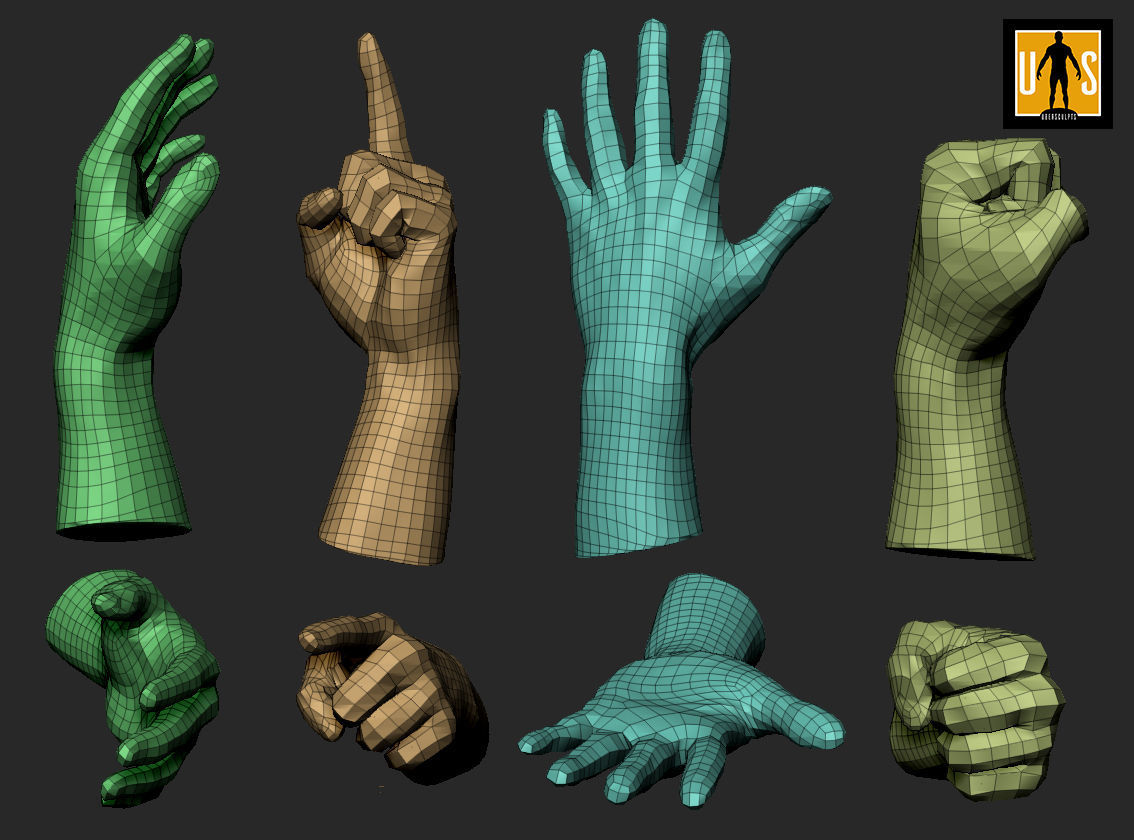 hand in 4 poses  3D model_1