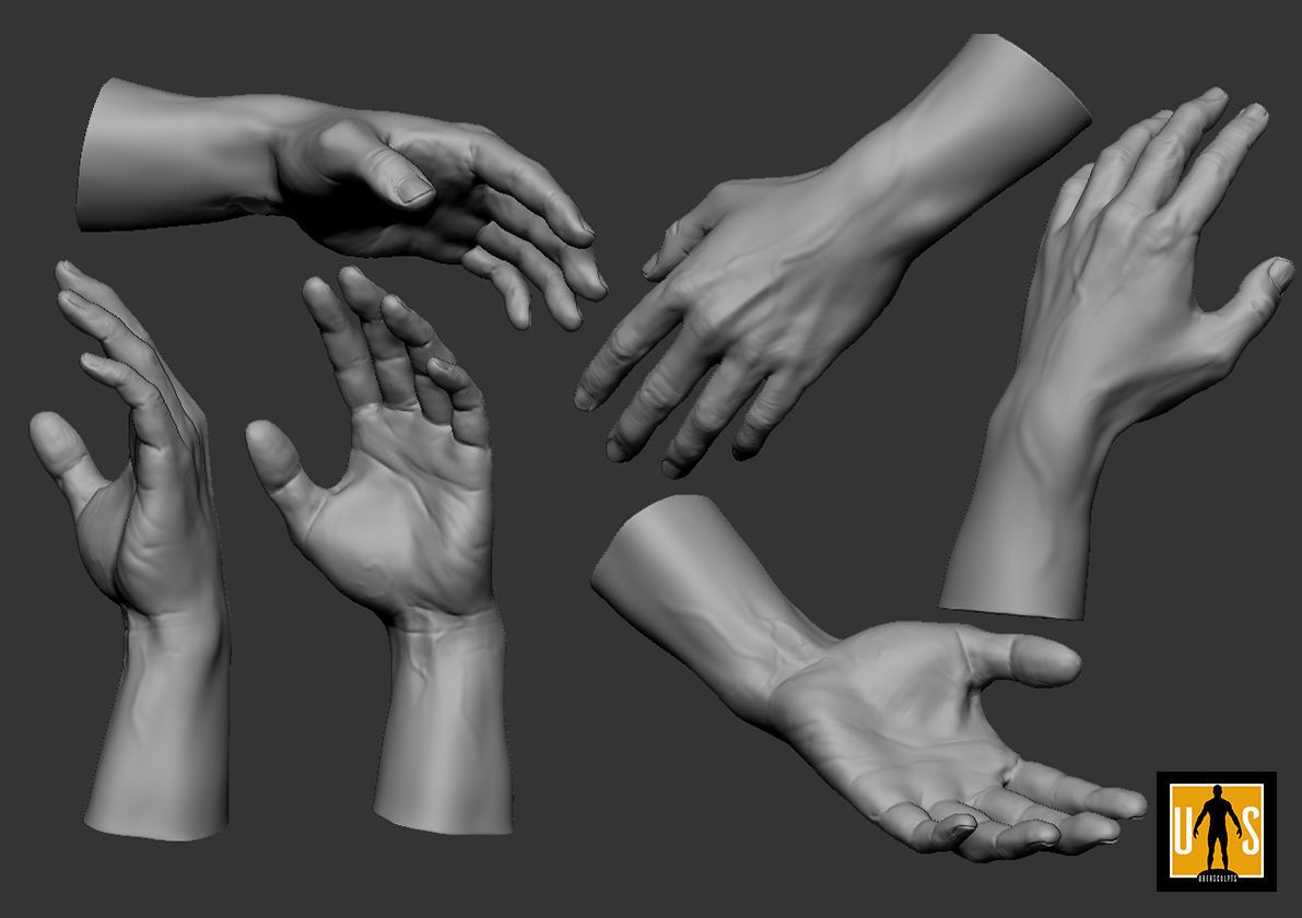 hand in 4 poses  3D model_2