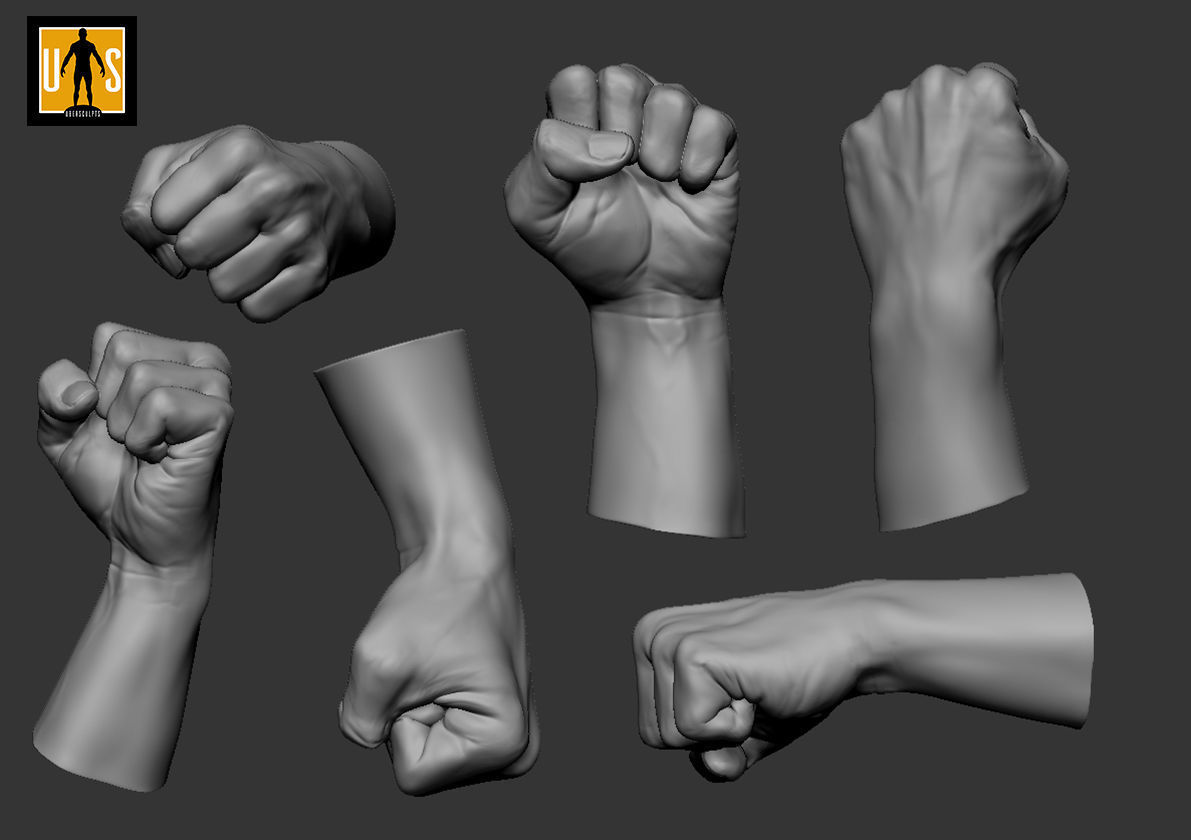 hand in 4 poses  3D model_4