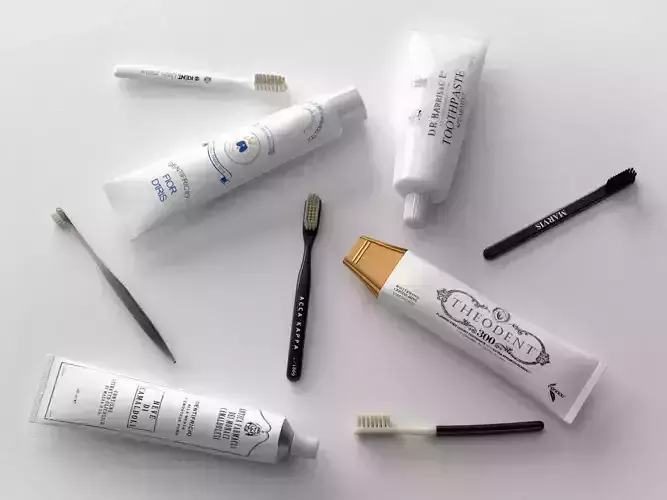 Toothbrush with Toothpaste 3D model