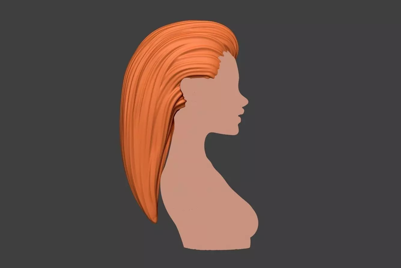 Female Hair 2 3D print model_0