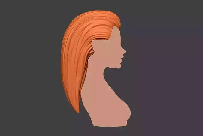 Female Hair 2 3D print model