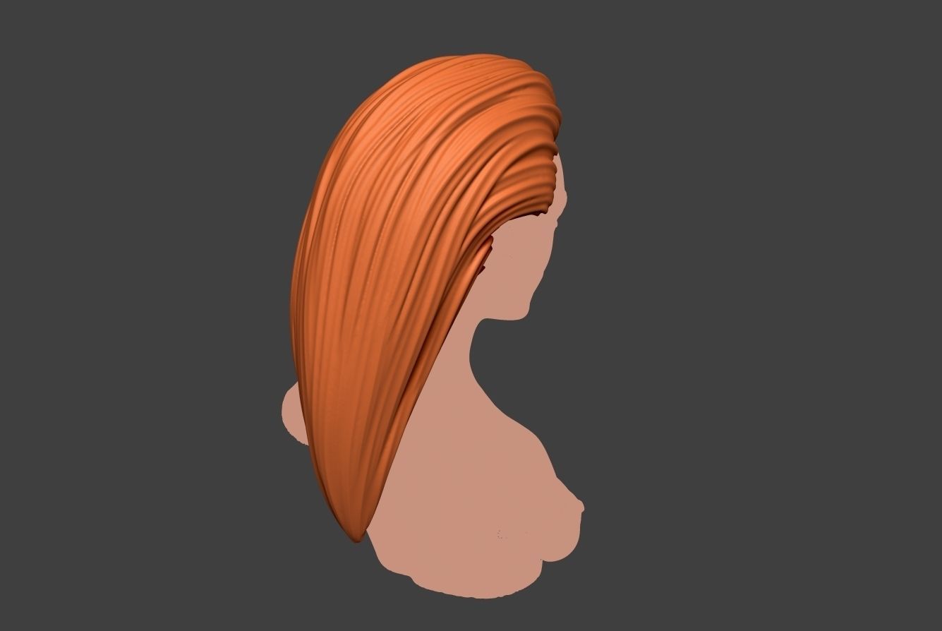 Female Hair 2 3D print model_4
