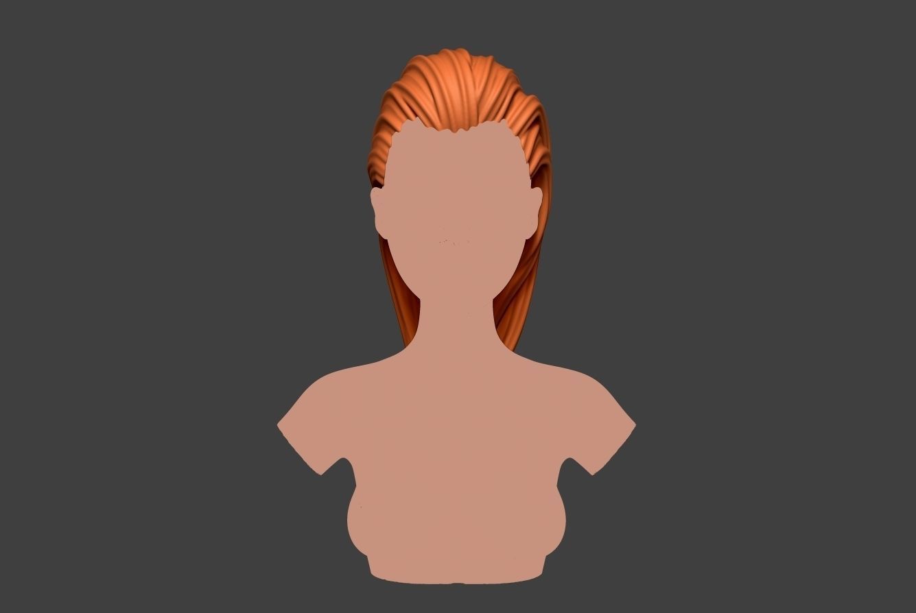 Female Hair 2 3D print model_1
