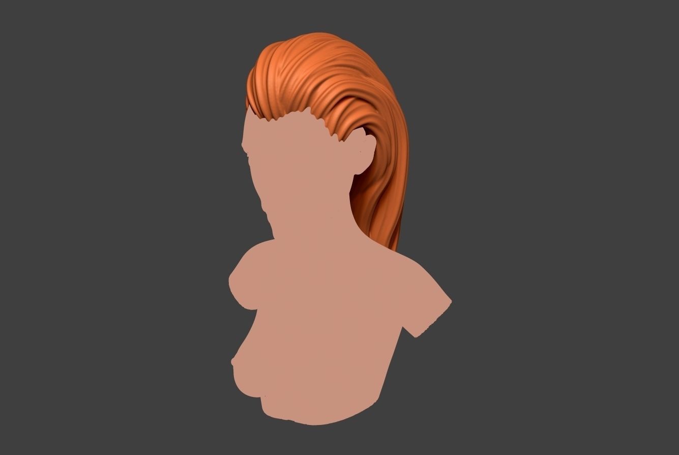 Female Hair 2 3D print model_3