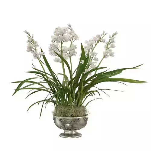 Orchid cymbidium vintage vase 3D model