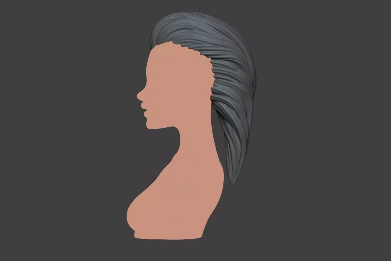 Female Hair 3 3D print model_0