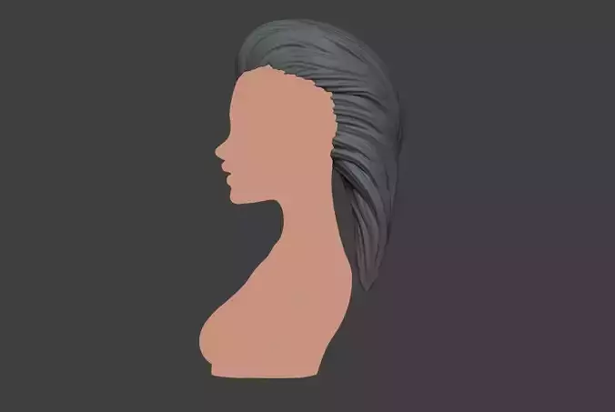 Female Hair 3 3D print model