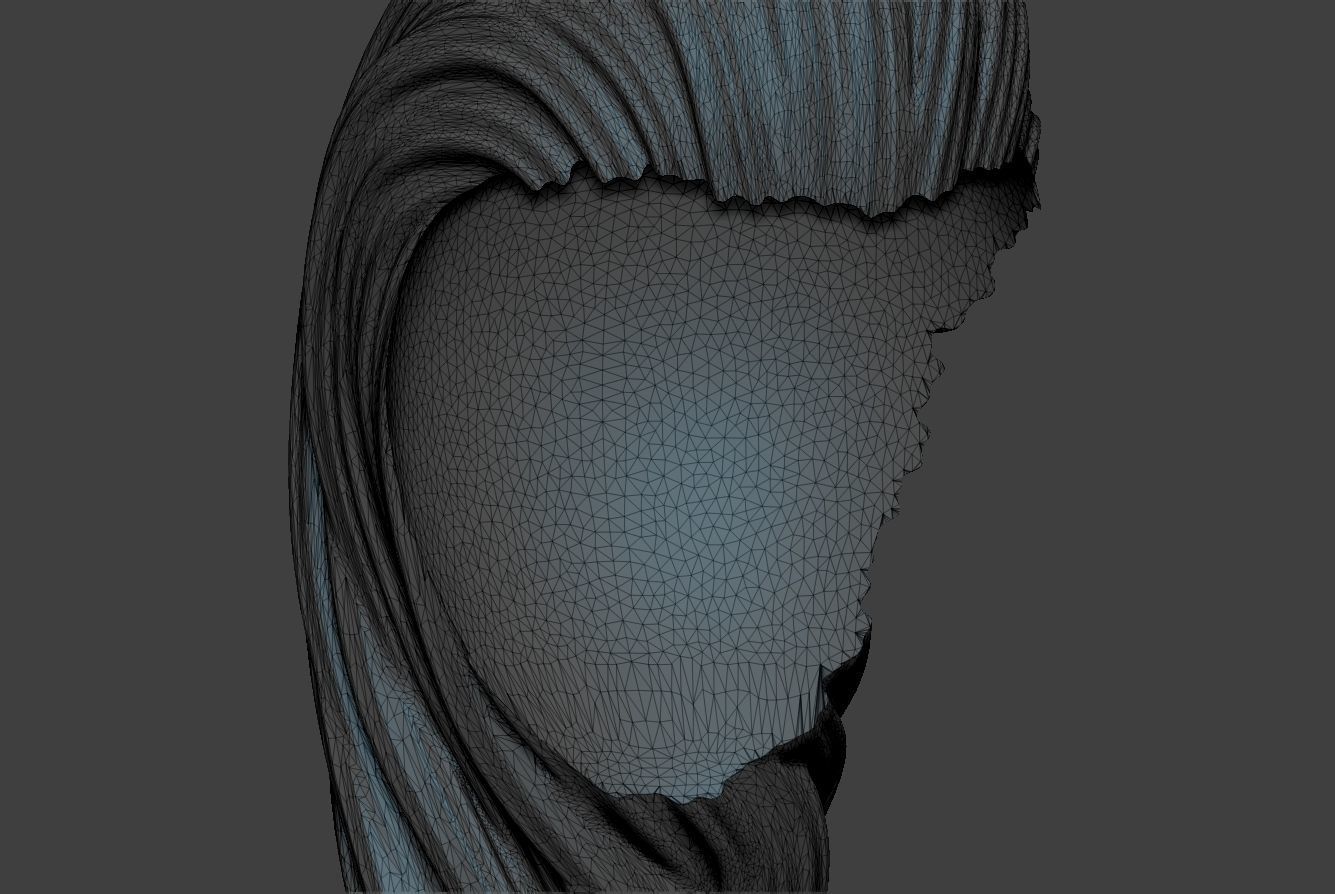 Female Hair 3 3D print model_9