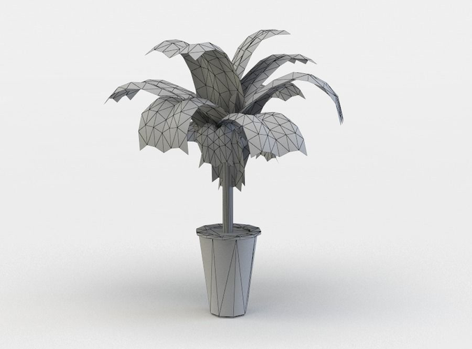 Pot flower palm