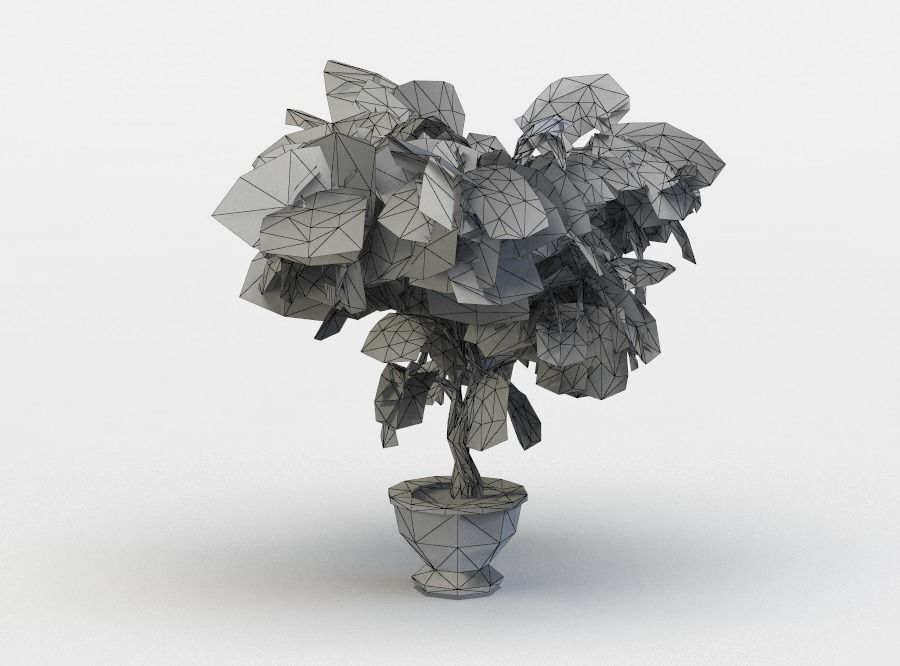 Ficus potted plant Low-poly 3D model_4