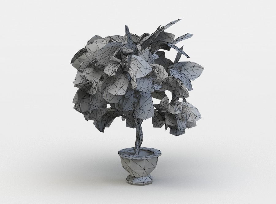 Ficus potted plant Low-poly 3D model_5
