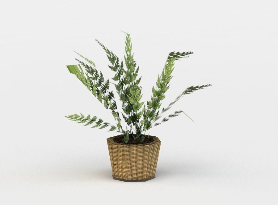 Pot flower Low-poly 3D model_0