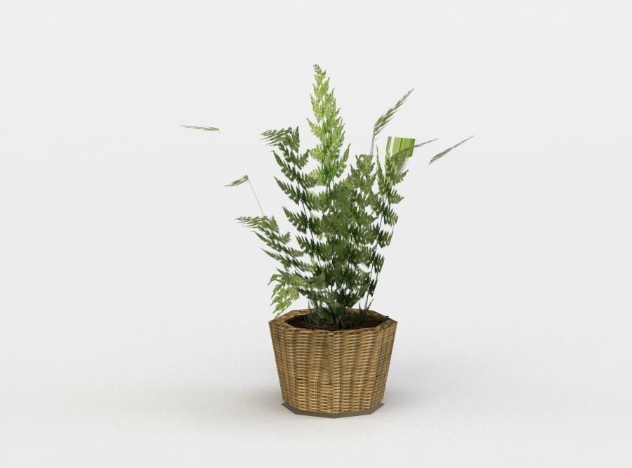 Pot flower Low-poly 3D model_1