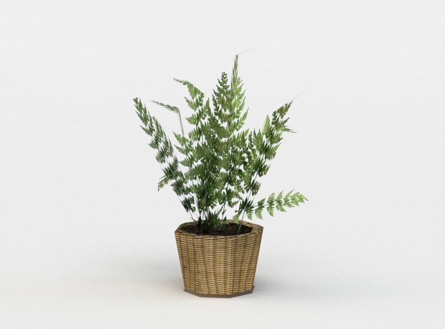 Pot flower Low-poly 3D model_2