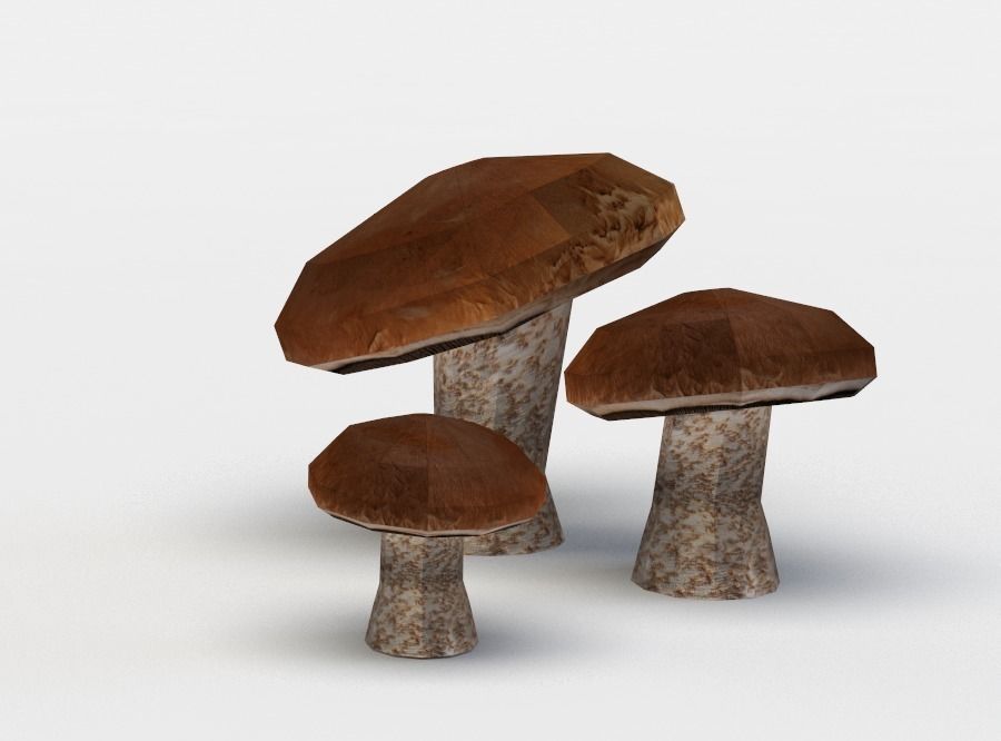 Brown mushrooms Low-poly 3D model_2