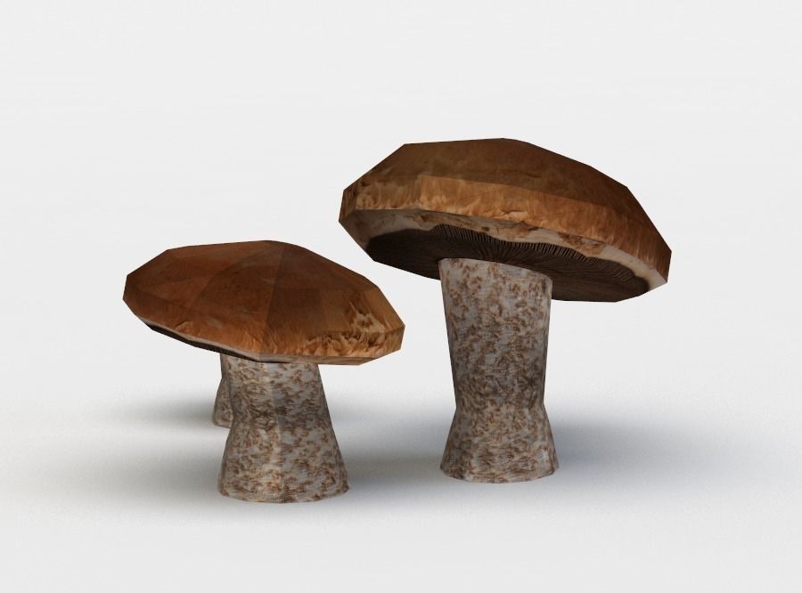 Brown mushrooms Low-poly 3D model_0