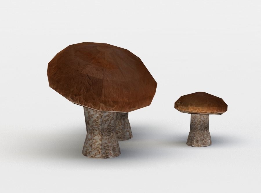 Brown mushrooms Low-poly 3D model_1