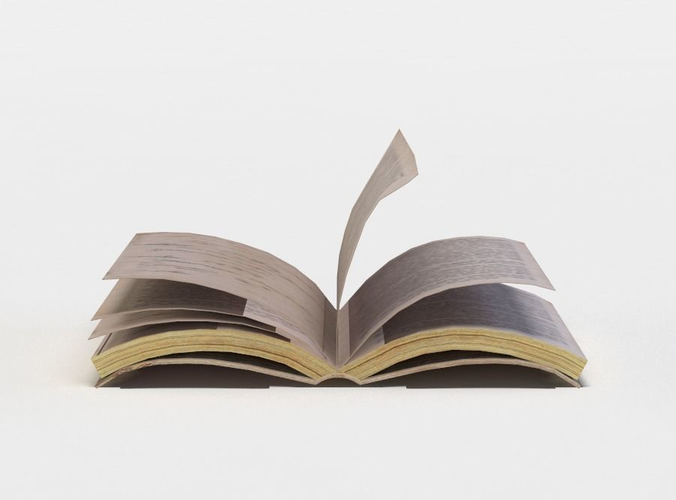 Open book Low-poly 3D model