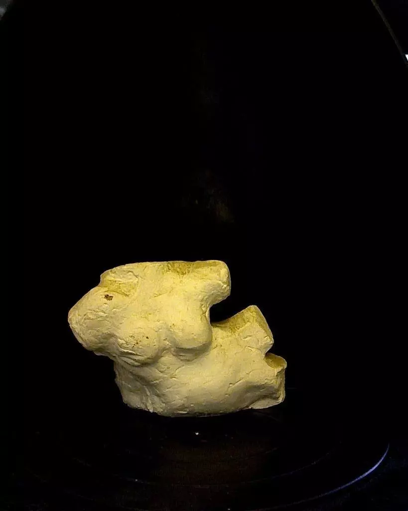 Heart Body 3D print model_0