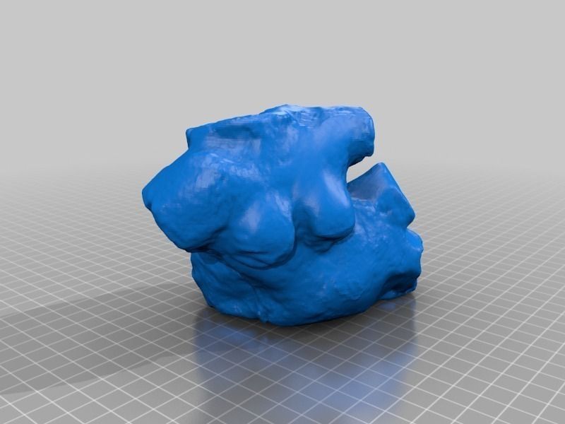 Heart Body 3D print model_1