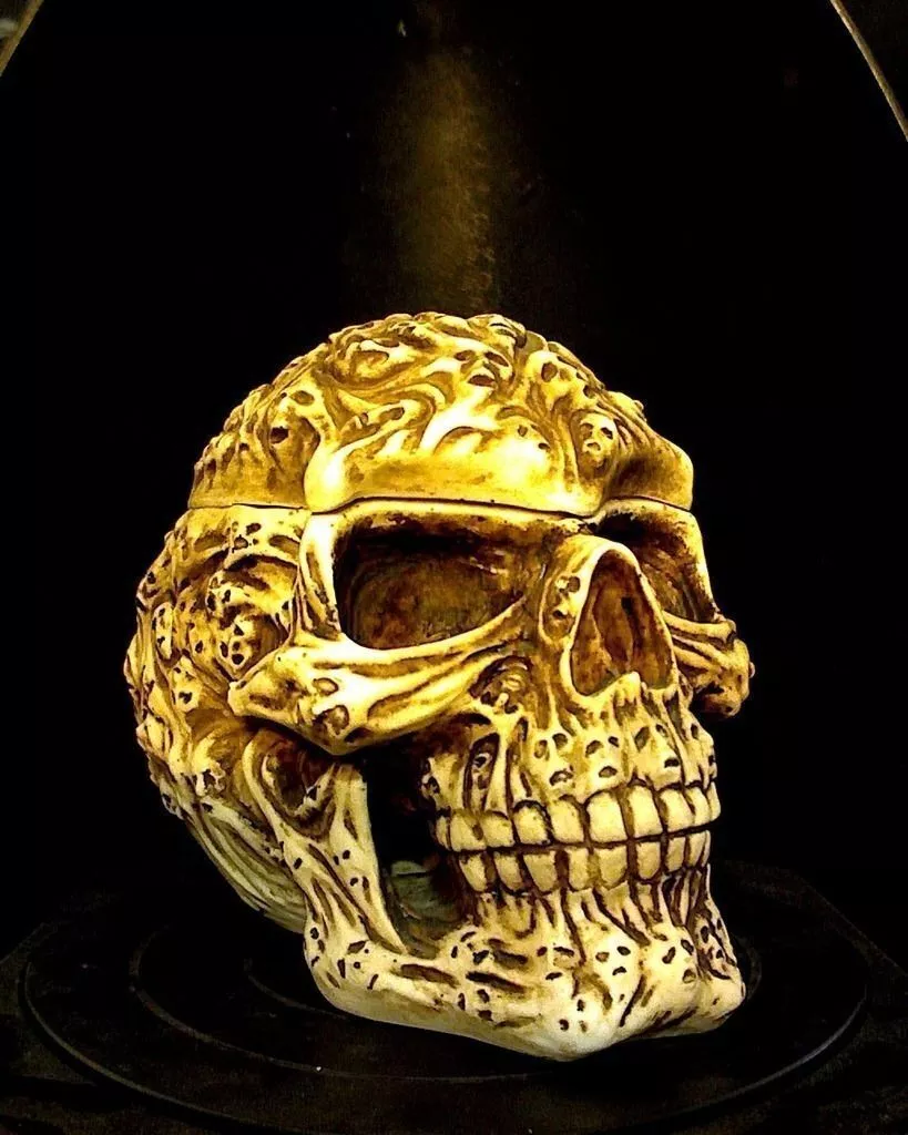 Spook Skull Free 3D print model