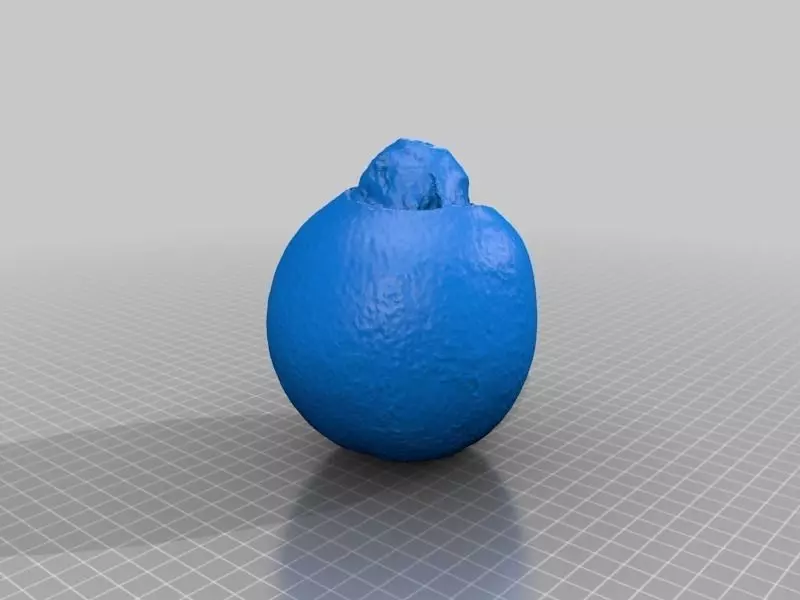 Orange Mongo Free 3D print model_0