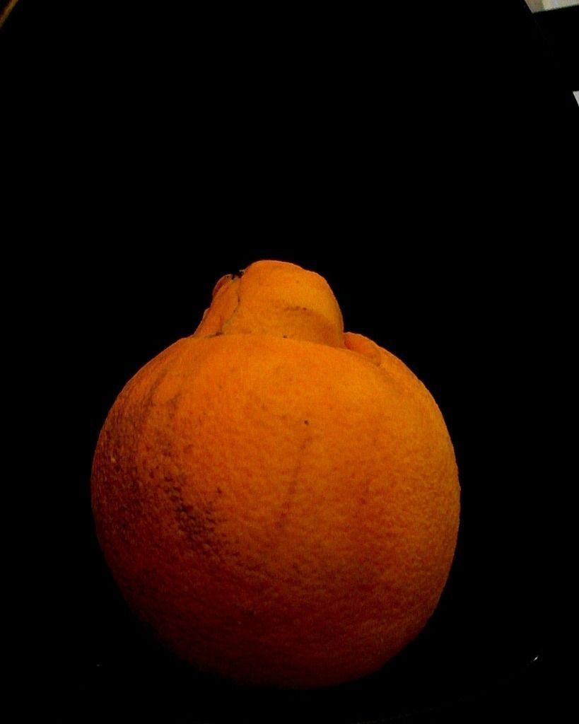 Orange Mongo Free 3D print model_1