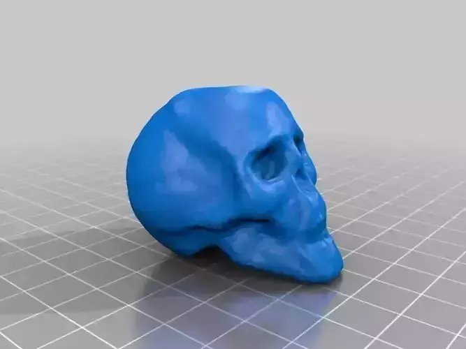 Small Skull