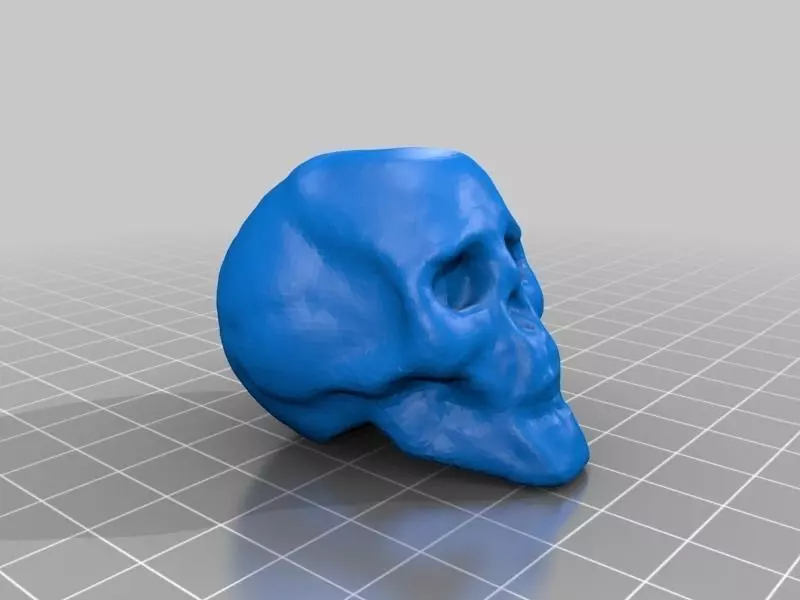 Small Skull 3D print model_0