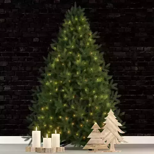 Plants collection 70 christmas tree