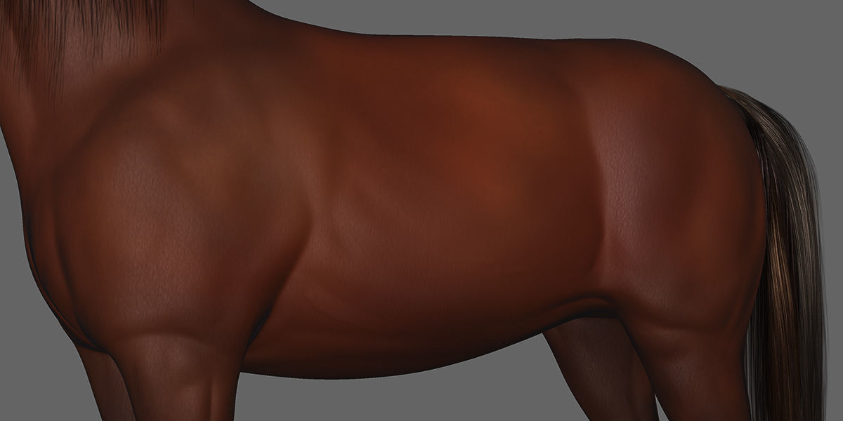 Horse Rigged Animated Low-poly 3D model_19