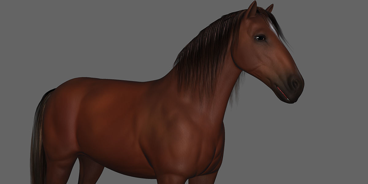 Horse Rigged Animated Low-poly 3D model_21