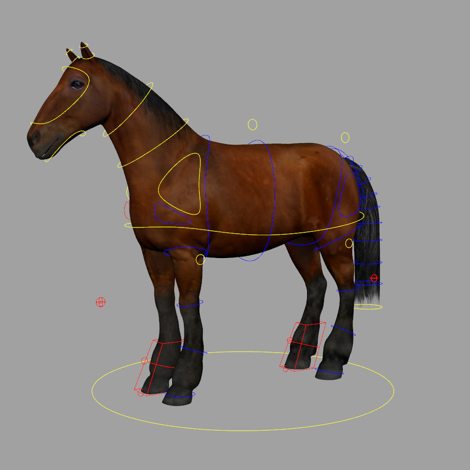 Horse Rigged Animated Low-poly 3D model_14