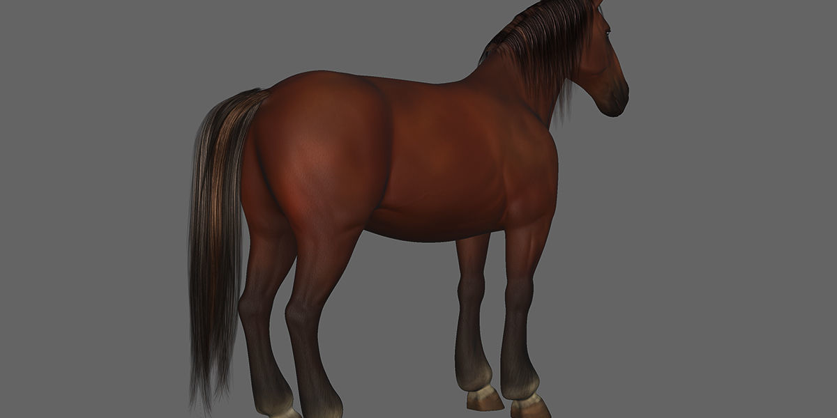 Horse Rigged Animated Low-poly 3D model_20