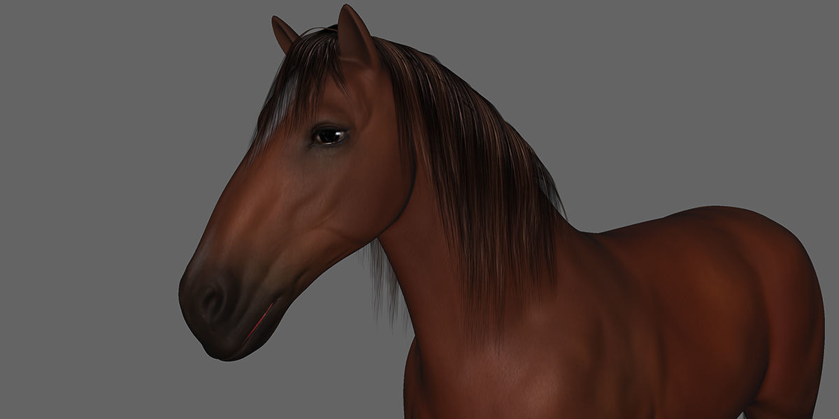 Horse Rigged Animated Low-poly 3D model_22