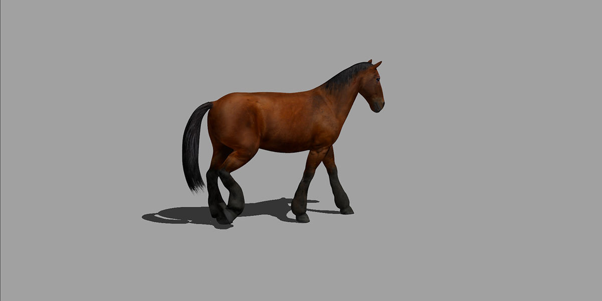 Horse Rigged Animated Low-poly 3D model_9