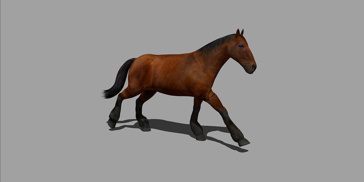 Horse Rigged Animated Low-poly 3D model_8