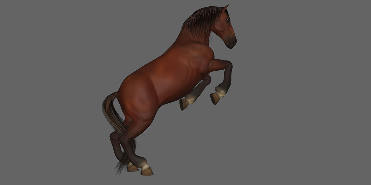 Horse Rigged Animated Low-poly 3D model_16