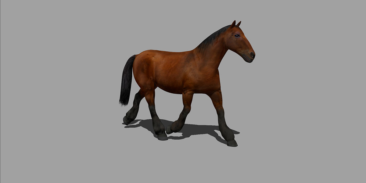 Horse Rigged Animated Low-poly 3D model_7