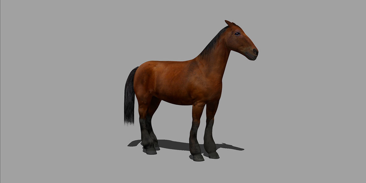 Horse Rigged Animated Low-poly 3D model_4