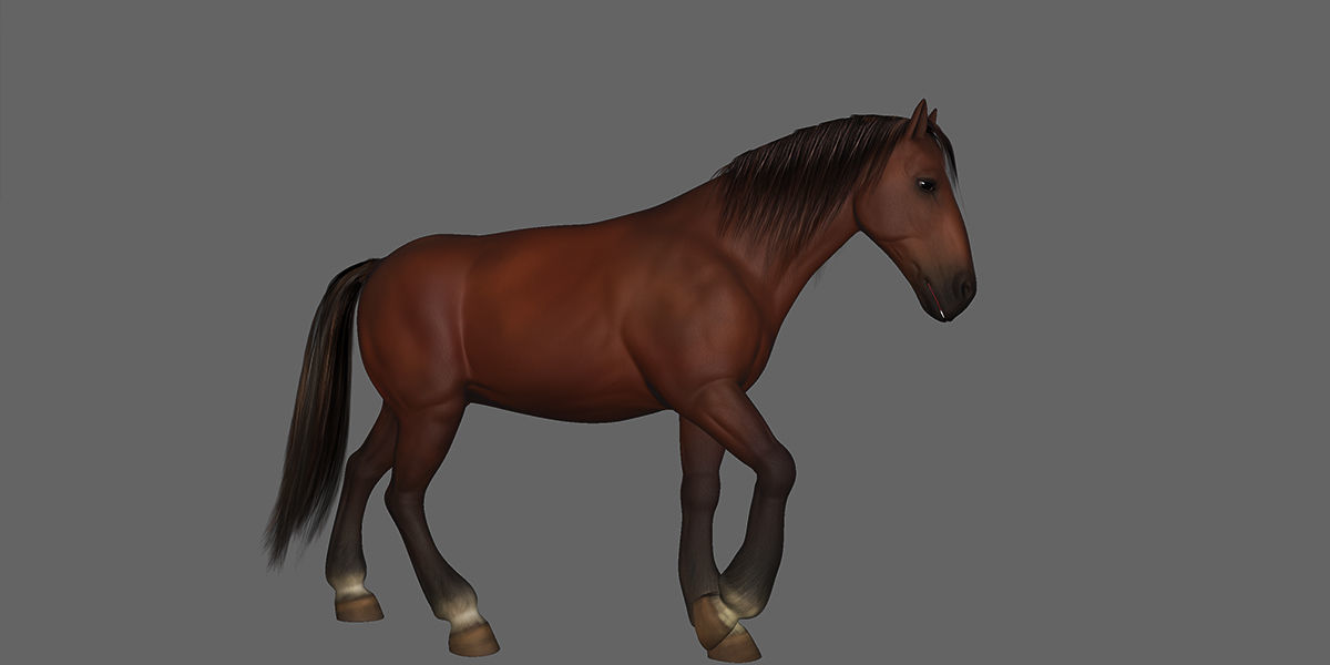Horse Rigged Animated Low-poly 3D model_18