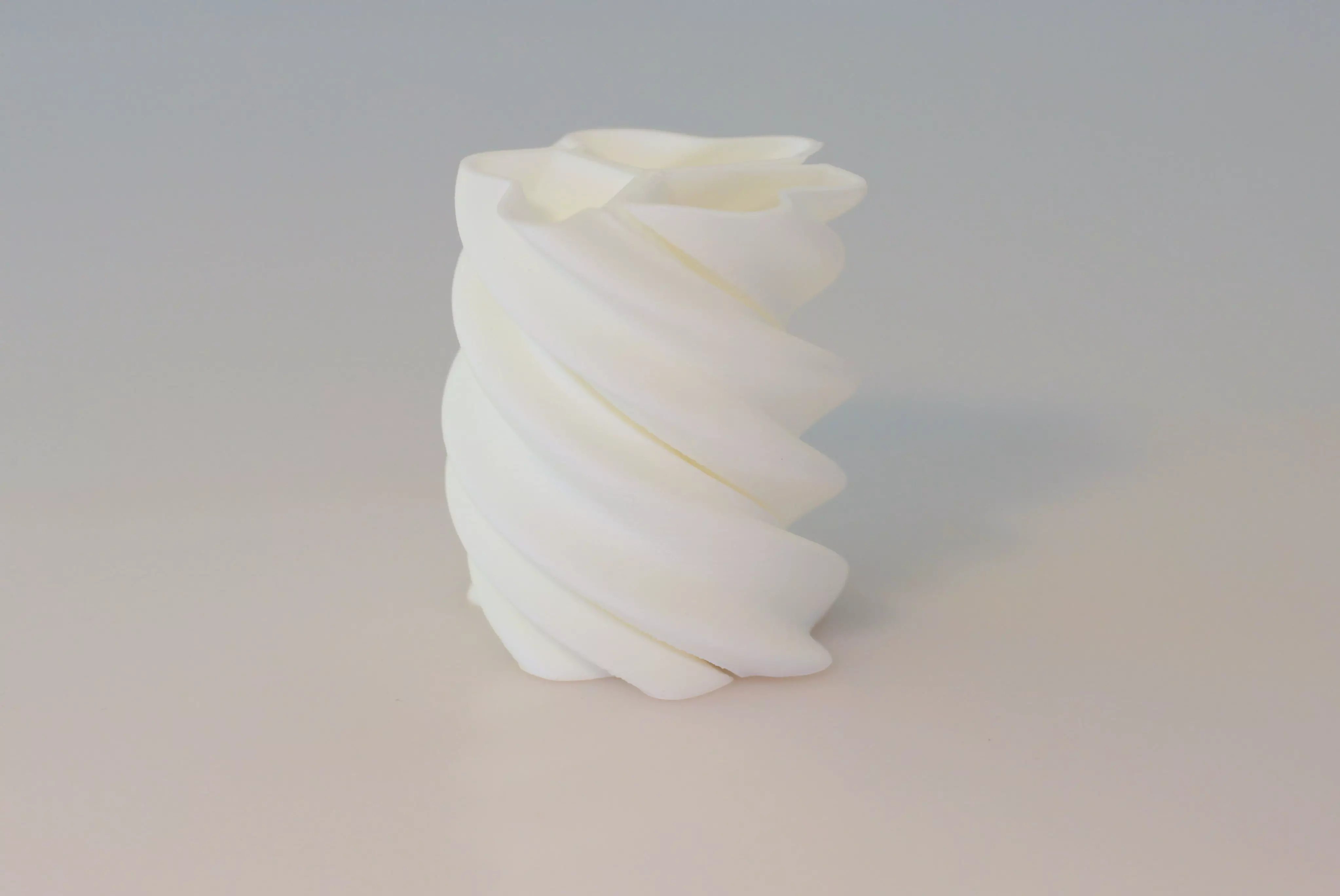 Twisted vase Free 3D print model_0