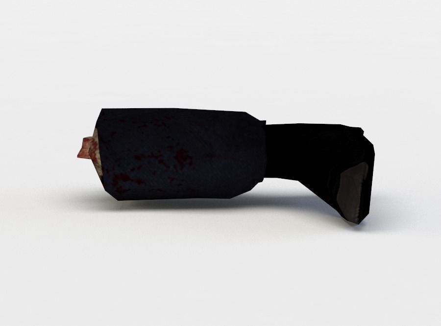 Zombie leg Low-poly 3D model_0