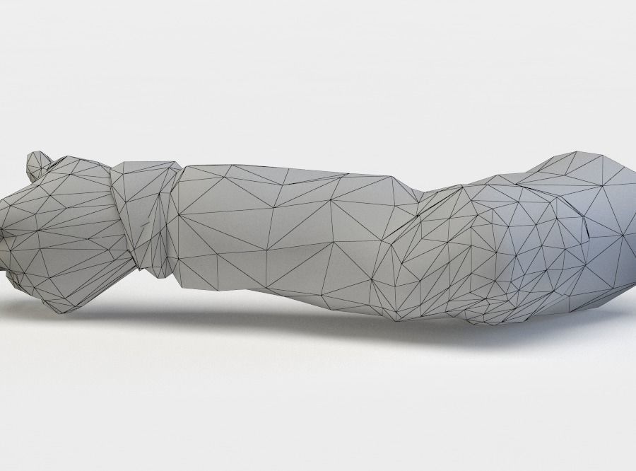 Zombie arm Low-poly 3D model_10